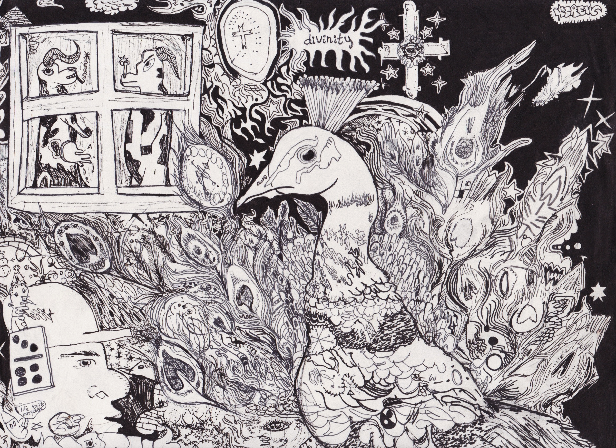 divine peacock